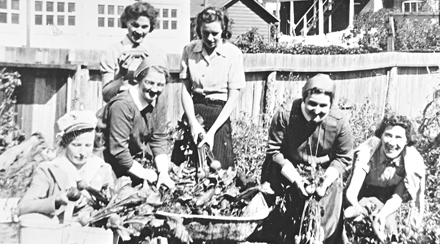 Victory Garden at Edmonton hostel