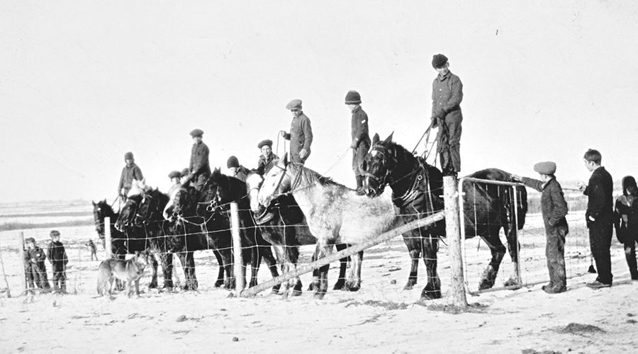 Students stand on horses