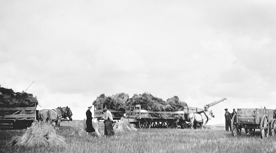 Sister Jackson in wheatfield